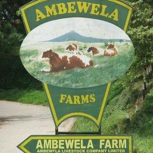 Ambewela Farm Nuwera-Eliya