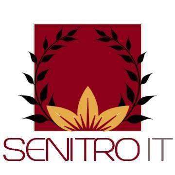 Senitro IT