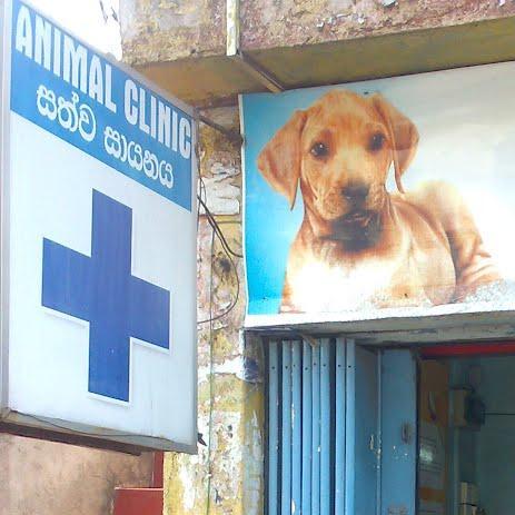 Animal Clinic Wattala