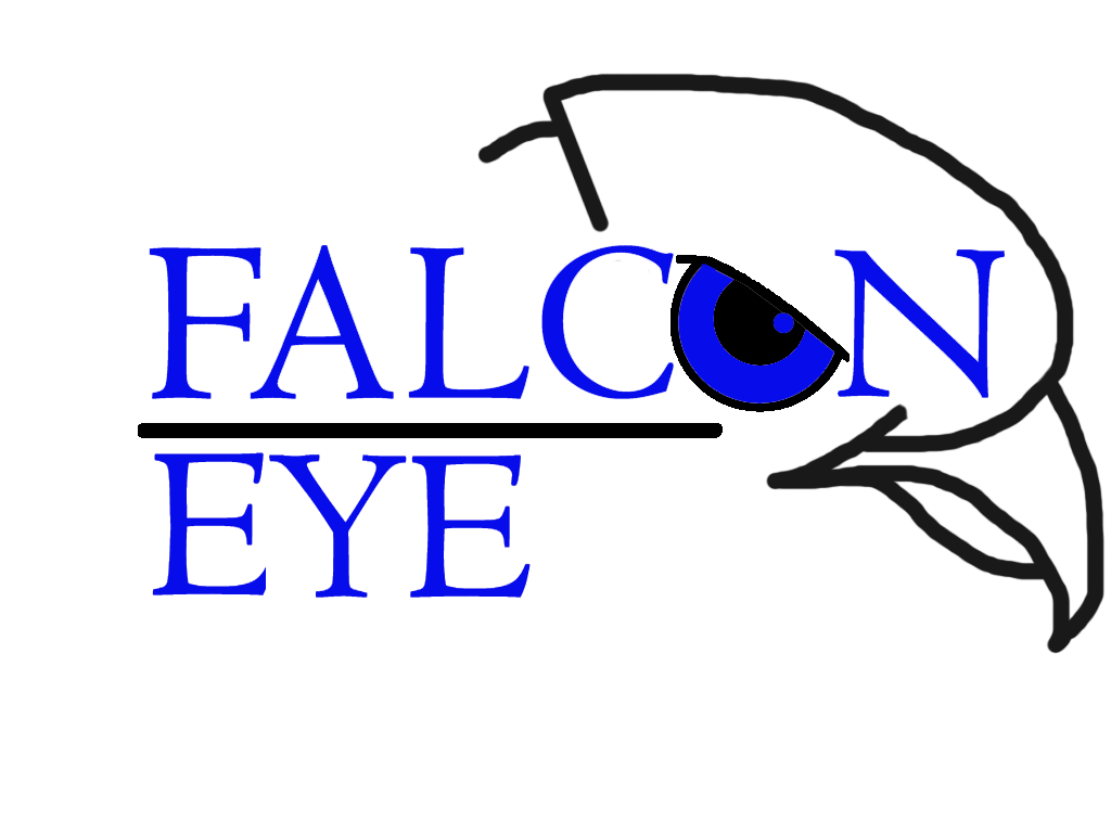 FalconEye Daycare & Nursery